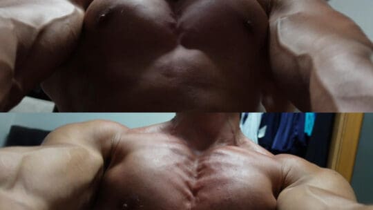 Bodybuilding Lifestyle | Pecs Worship | Muscle Worship | My Muscle Videos