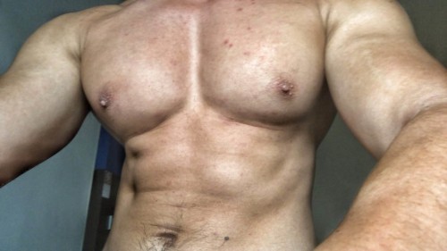 Bodybuilding Posing and Progress Photos 2019 | Training Hard